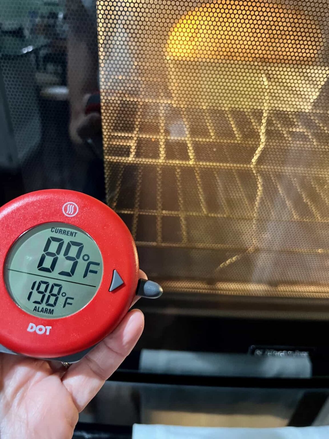 Using a Digital QuickRead Thermometer To Make Fabulous Bread