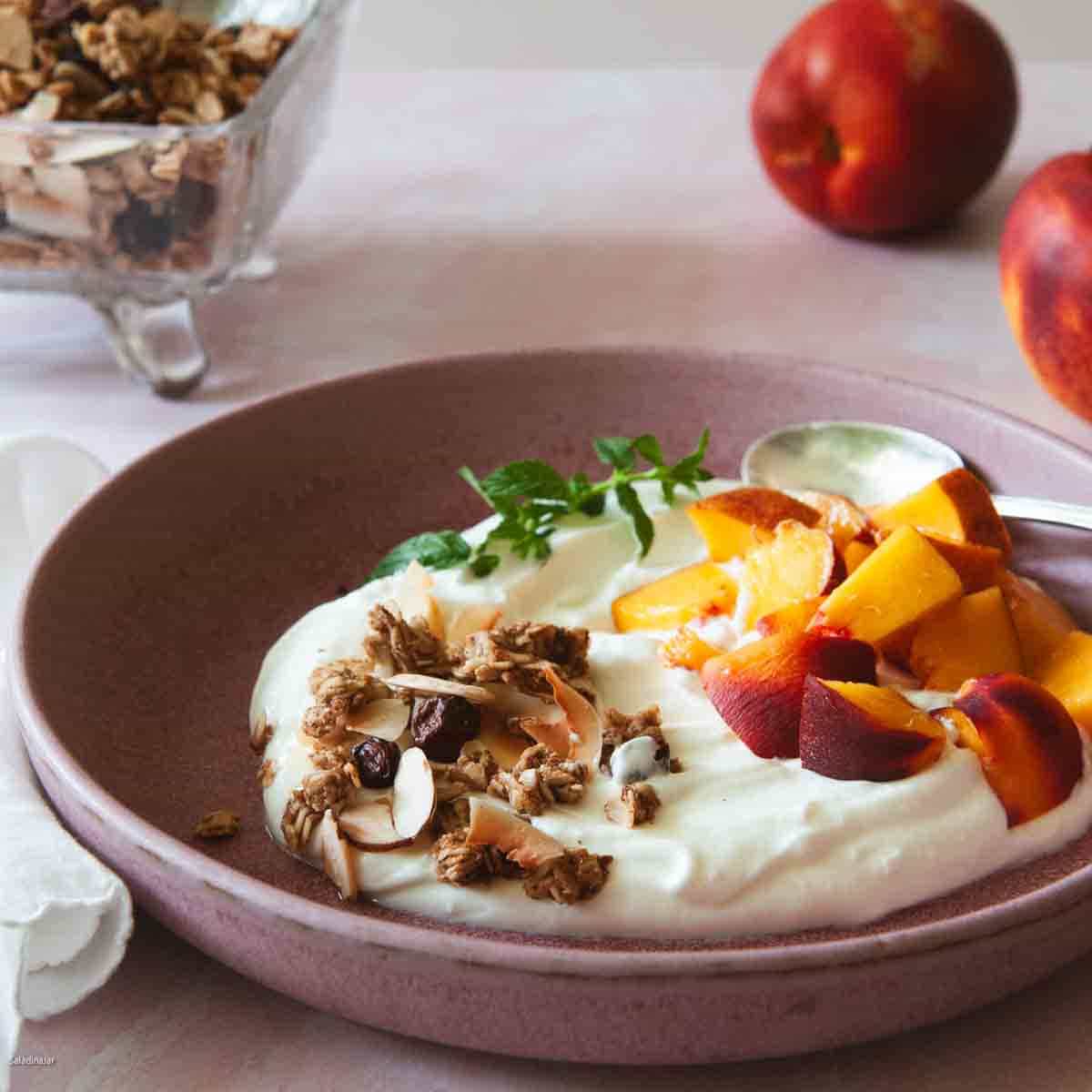 Low-cal granola sprinkled over homemade Greek yogurt in a bowl with fresh nectarines.