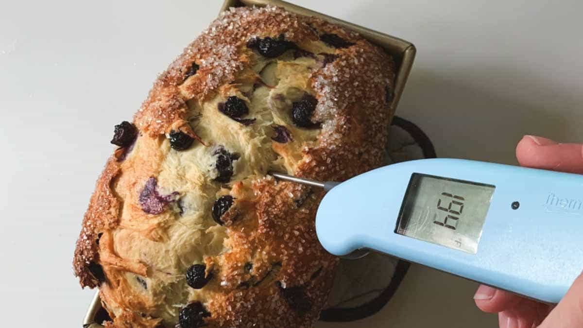 taking the internal temperature of a loaf of blueberry yeast bread.