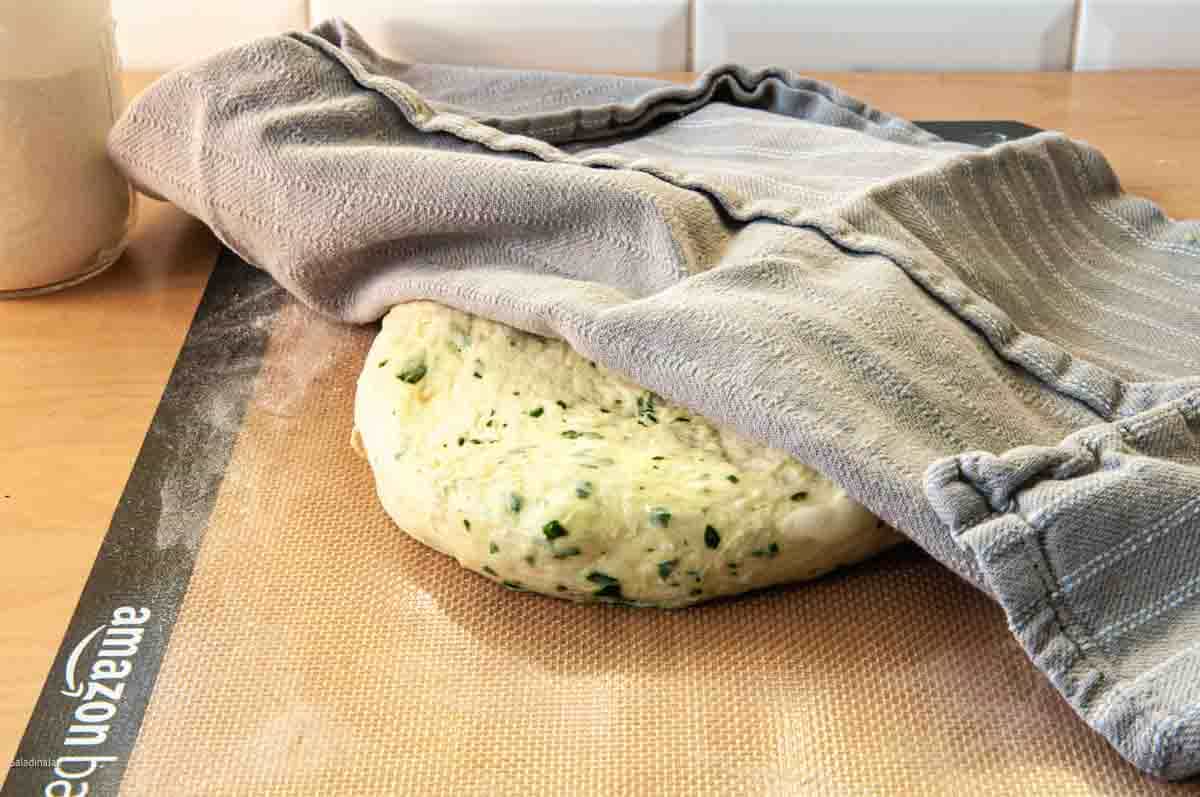 Bouncy dough covered with a towel to rest a bit before shaping.