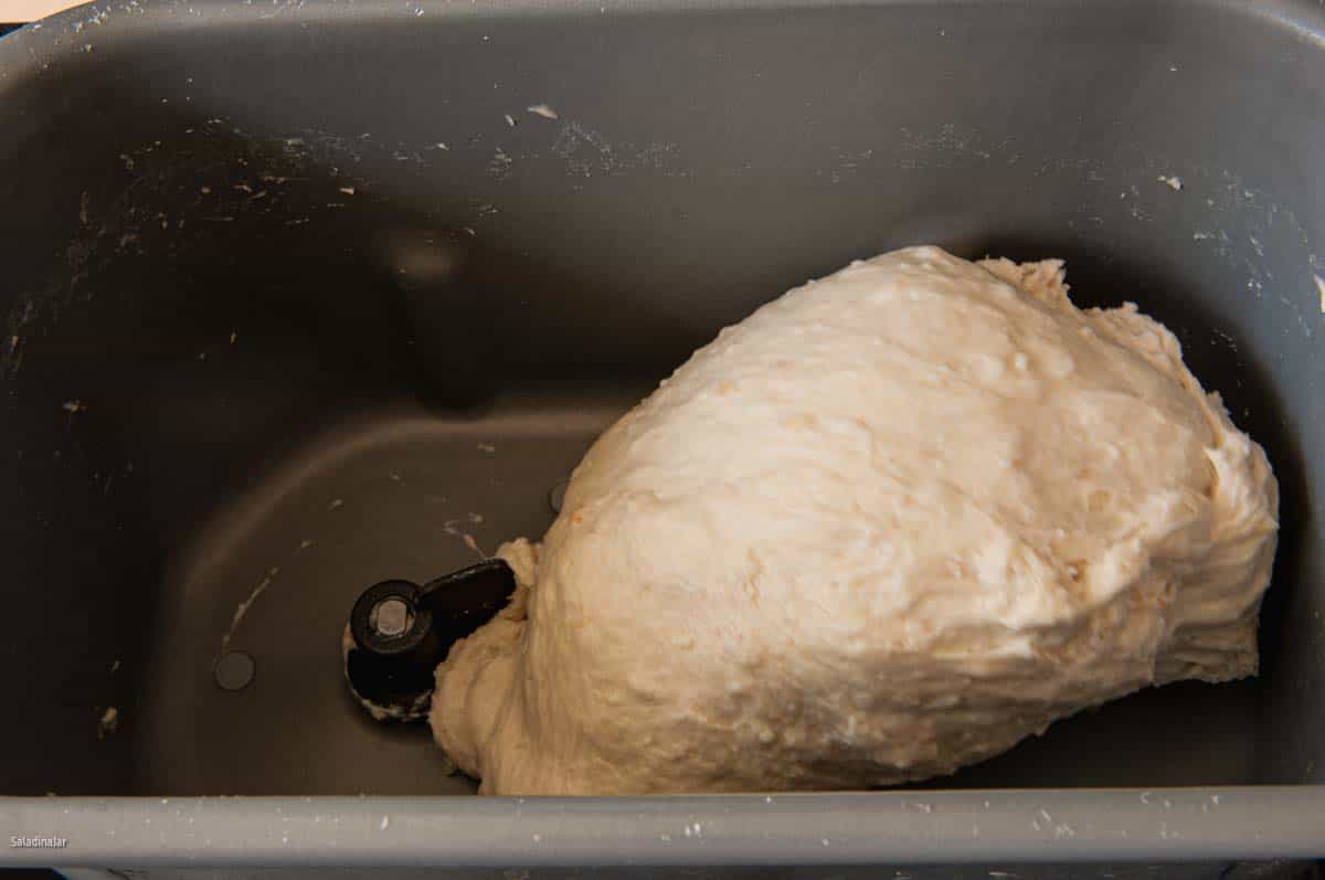 In the last five minutes of the kneading phase, the dough should stick to the side and pull away cleanly as you see in this image.