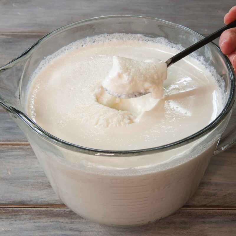 How Long Should I Incubate To Make the Best Yogurt?