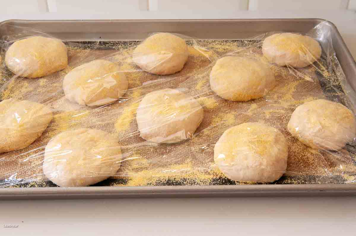 Dough balls covered with cornmeal on both sides, the covered with plastic wrap for the final rise.