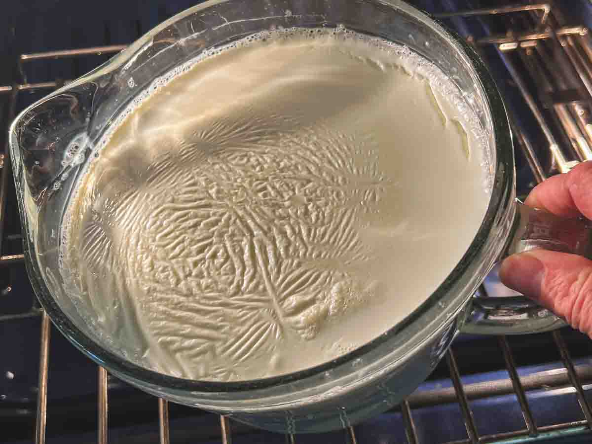 Set yogurt with a skin.