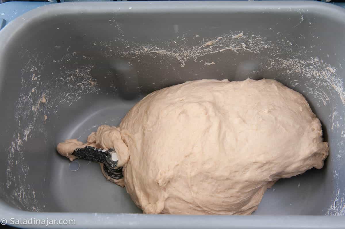 smooth and elastic dough after 15-18 minutes into the DOUGH cycle.