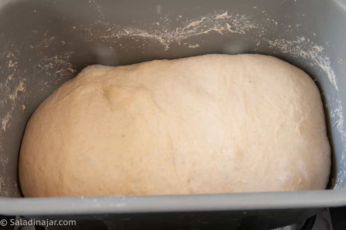 The dough after it has risen at the end of the DOUGH cycle.